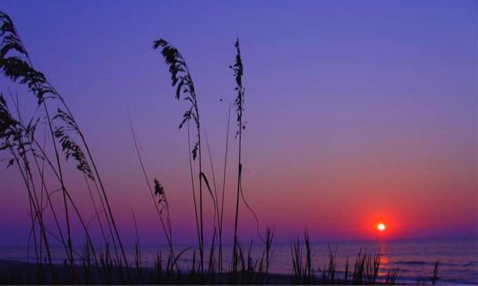 Lee'S Myrtle Beach Condo 외부 사진